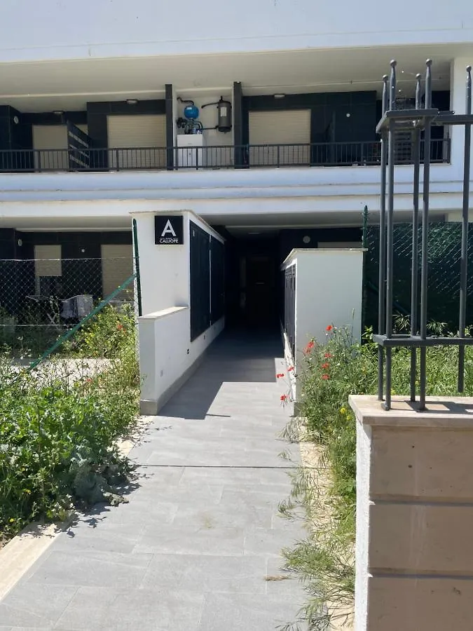 Guest house New Room 4 Mints To The Airport And Rome Fair Fiumicino