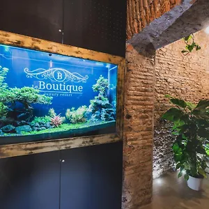 Casa de hóspedes Le Boutique Luxury Diffused In Historic Center, Fiumicino
